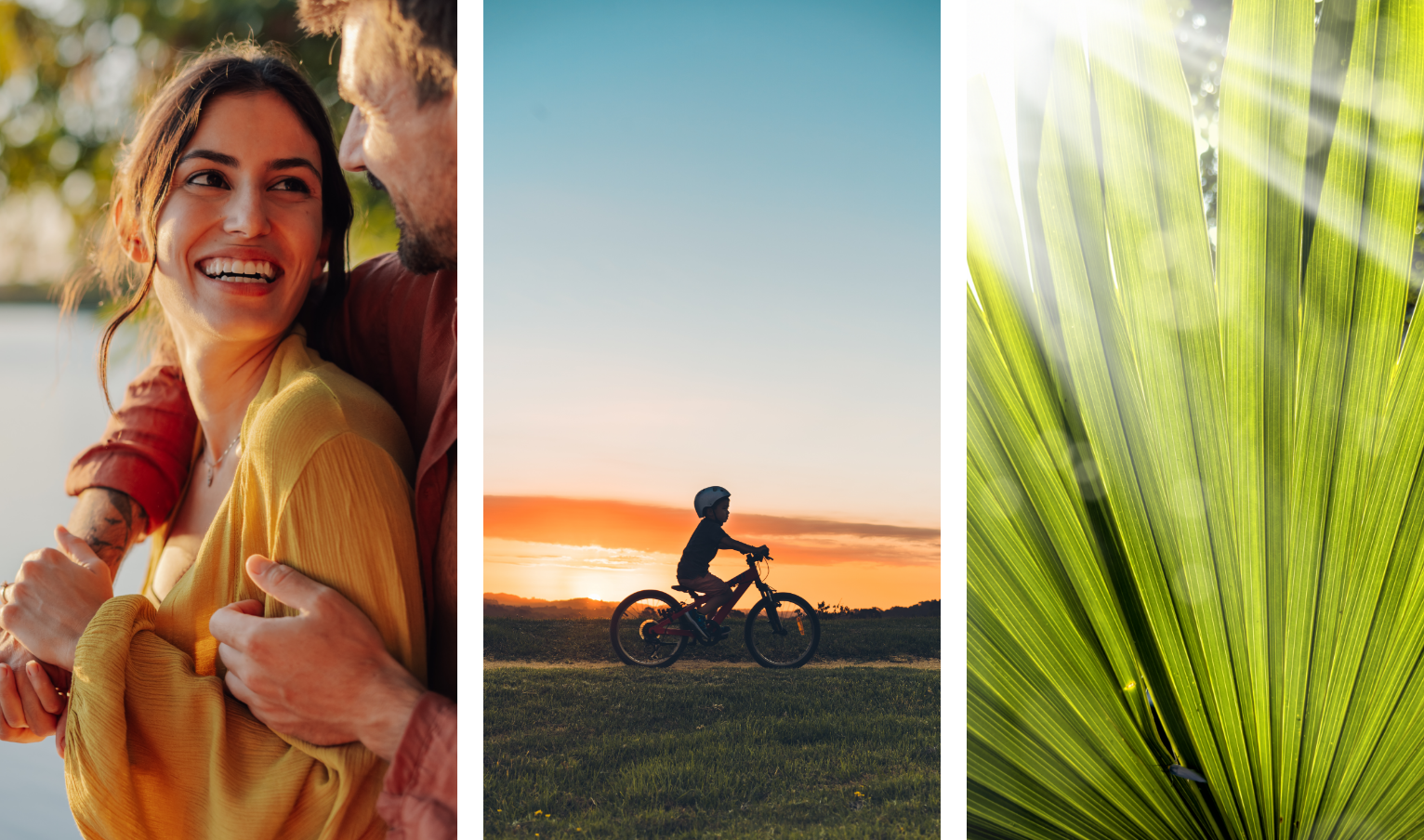 a couple smiles and embraces, a child rides a bike at sunset, and a closeup of a palm leaf