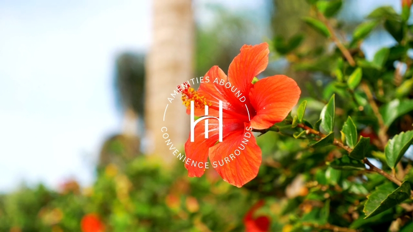 Red hibiscus flower - Amenities Abound, Convenience Surrounds at Hilliard Isle - new homes for sale in Kissimmee Florida